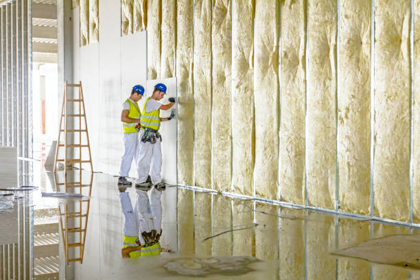 Eco-Friendly or Green Insulation Solutions in Wedgefield, SC